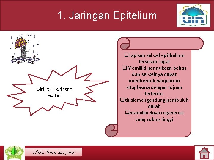 1. Jaringan Epitelium Ciri-ciri jaringan epitel Oleh: Irma Suryani q. Lapisan sel-sel epithelium tersusun