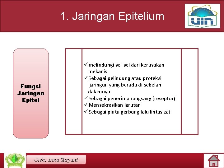 1. Jaringan Epitelium Fungsi Jaringan Epitel Oleh: Irma Suryani ümelindungi sel-sel dari kerusakan mekanis