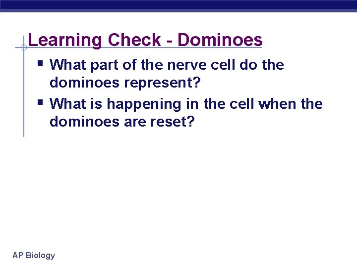 Learning Check - Dominoes § What part of the nerve cell do the §