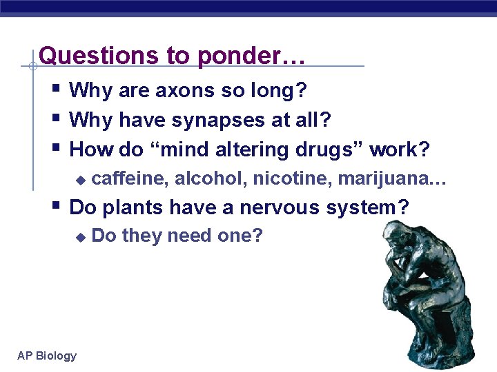 Questions to ponder… § Why are axons so long? § Why have synapses at
