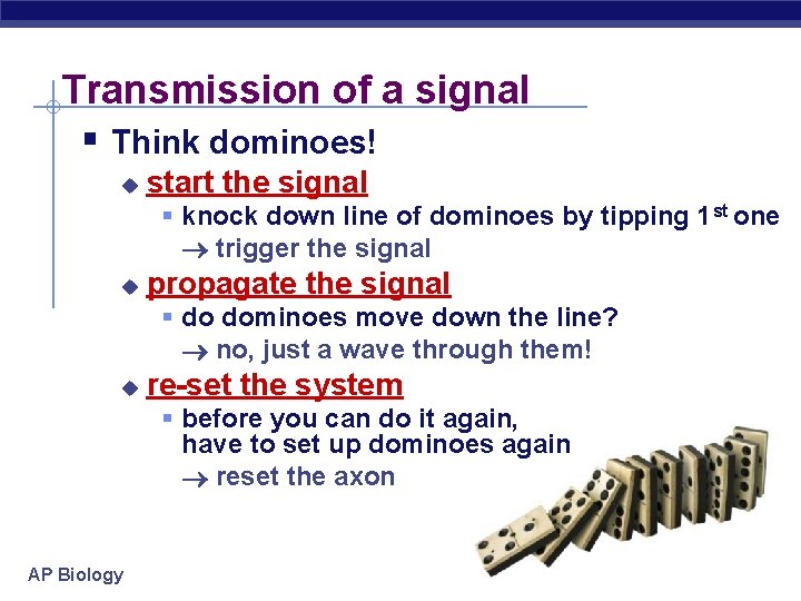 Transmission of a signal § Think dominoes! u start the signal § knock down