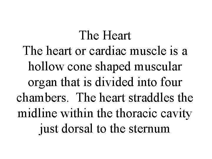 The Heart The heart or cardiac muscle is a hollow cone shaped muscular organ