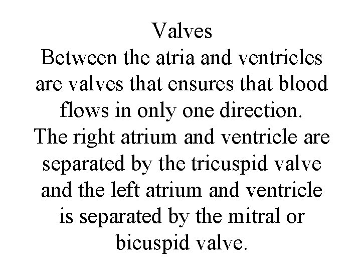 Valves Between the atria and ventricles are valves that ensures that blood flows in