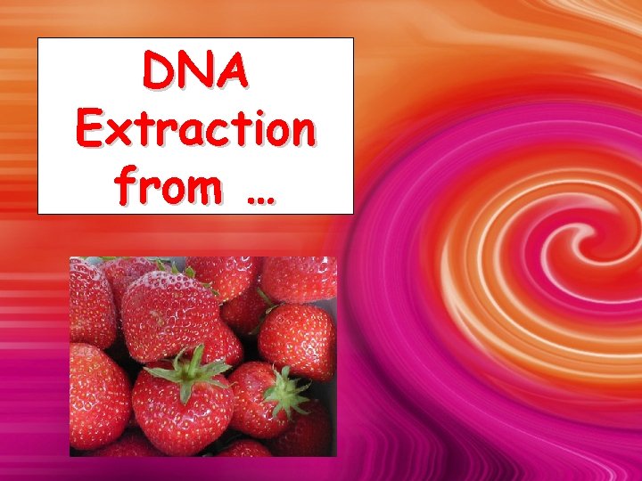 DNA Extraction from … 