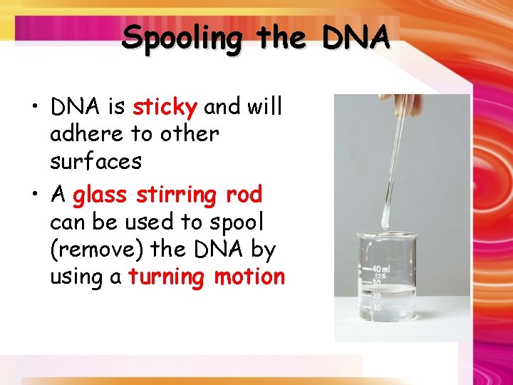Spooling the DNA • DNA is sticky and will adhere to other surfaces •