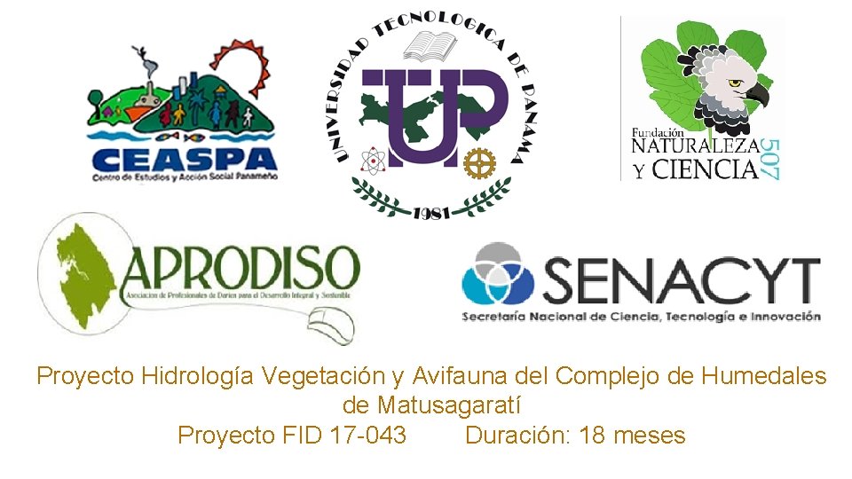 Proyecto Hidrología Vegetación y Avifauna del Complejo de Humedales de Matusagaratí Proyecto FID 17