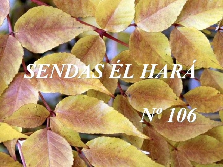 SENDAS ÉL HARÁ Nº 106 