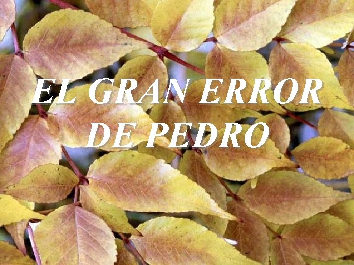 EL GRAN ERROR DE PEDRO 