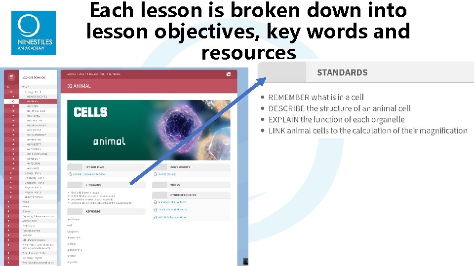 Each lesson is broken down into lesson objectives, key words and resources Each lesson is broken down into lesson objectives, key words and resources