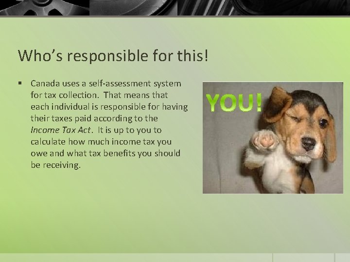 Who’s responsible for this! § Canada uses a self-assessment system for tax collection. That