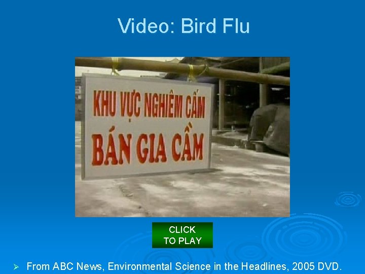 Video: Bird Flu CLICK TO PLAY Ø From ABC News, Environmental Science in the