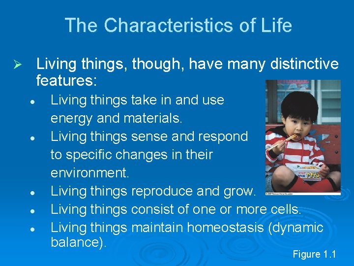 The Characteristics of Life Living things, though, have many distinctive features: Ø l l