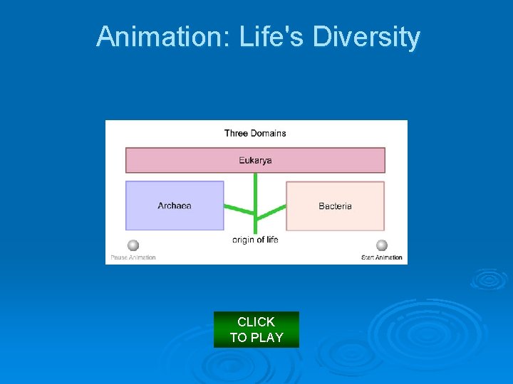 Animation: Life's Diversity CLICK TO PLAY 