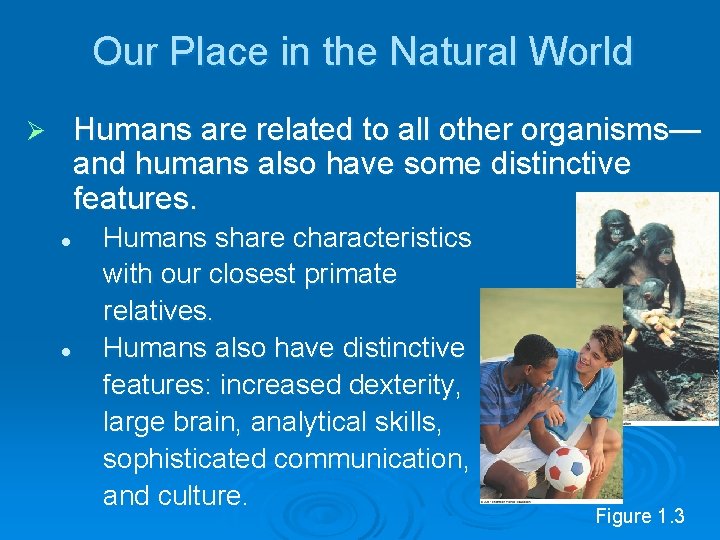 Our Place in the Natural World Humans are related to all other organisms— and