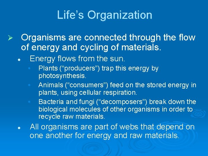 Life’s Organization Organisms are connected through the flow of energy and cycling of materials.