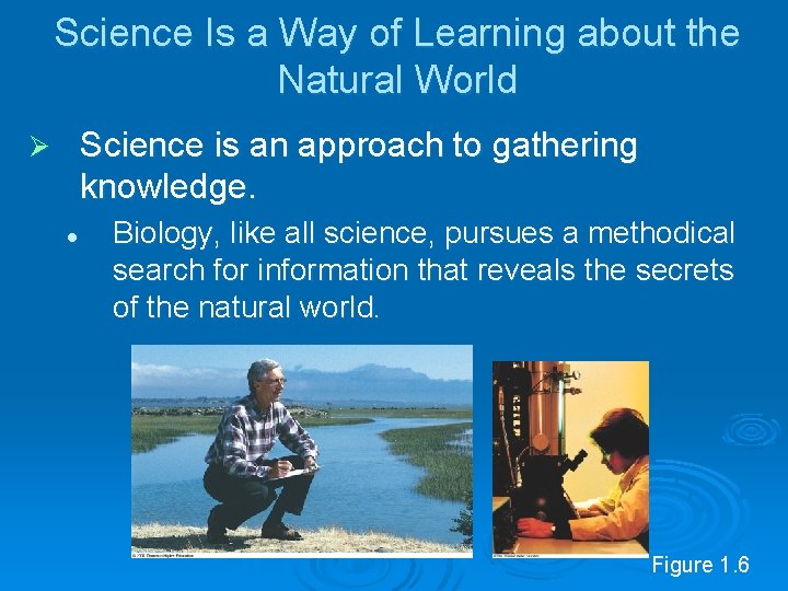 Science Is a Way of Learning about the Natural World Science is an approach