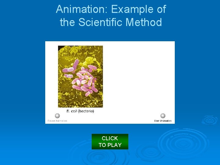 Animation: Example of the Scientific Method CLICK TO PLAY 