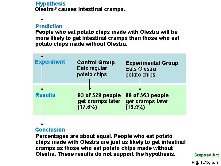Hypothesis Olestra® causes intestinal cramps. Prediction People who eat potato chips made with Olestra