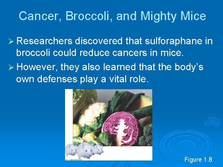Cancer, Broccoli, and Mighty Mice Ø Researchers discovered that sulforaphane in broccoli could reduce
