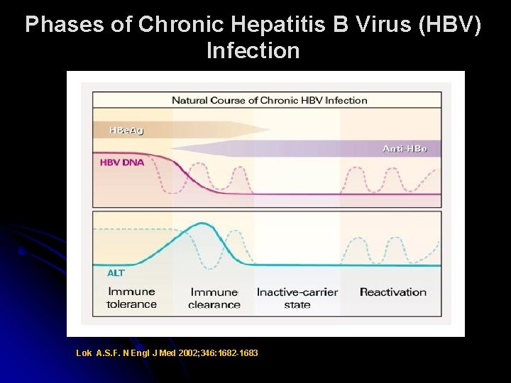 Phases of Chronic Hepatitis B Virus (HBV) Infection Lok A. S. F. N Engl