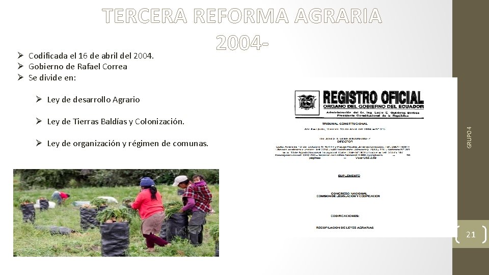 TERCERA REFORMA AGRARIA 2004Ø Codificada el 16 de abril del 2004. Ø Gobierno de