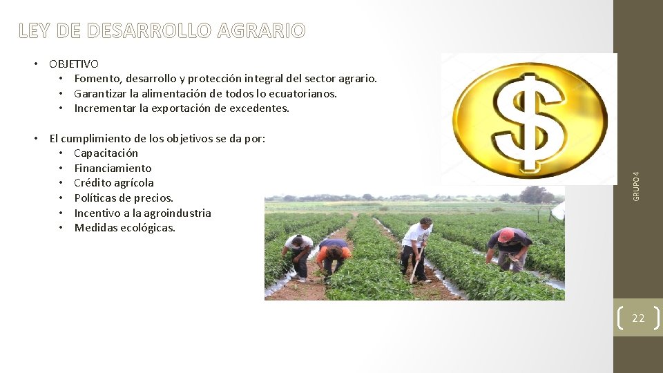 LEY DE DESARROLLO AGRARIO • El cumplimiento de los objetivos se da por: •