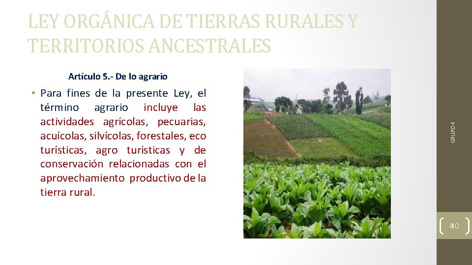 LEY ORGÁNICA DE TIERRAS RURALES Y TERRITORIOS ANCESTRALES • Para fines de la presente