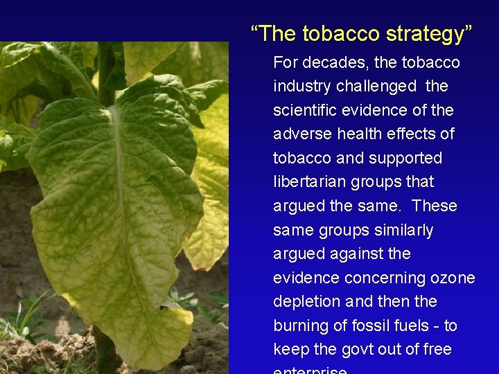 “The tobacco strategy” For decades, the tobacco industry challenged the scientific evidence of the