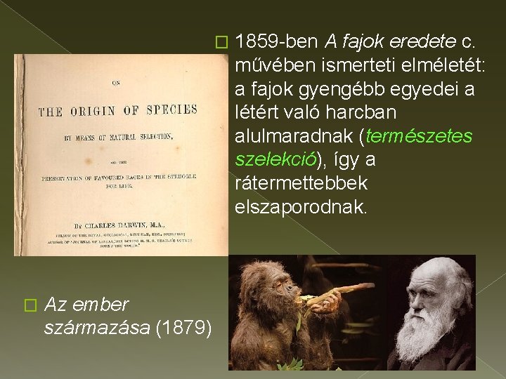 � � Az ember származása (1879) 1859 -ben A fajok eredete c. művében ismerteti