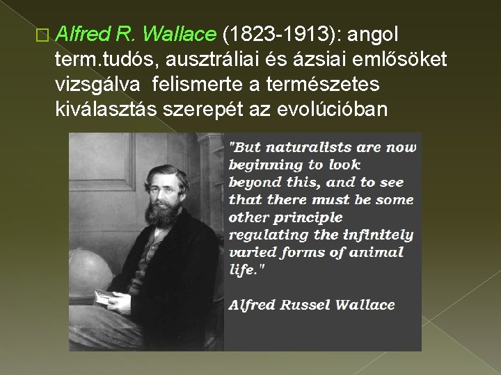 � Alfred R. Wallace (1823 -1913): angol term. tudós, ausztráliai és ázsiai emlősöket vizsgálva