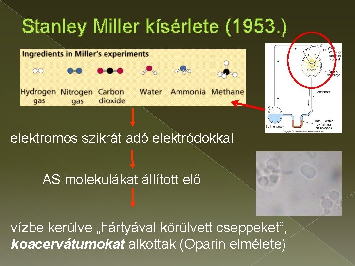 Stanley Miller kísérlete (1953. ) elektromos szikrát adó elektródokkal AS molekulákat állított elő vízbe