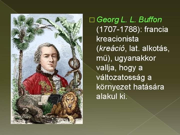 � Georg L. L. Buffon (1707 -1788): francia kreacionista (kreáció, lat. alkotás, mű), ugyanakkor