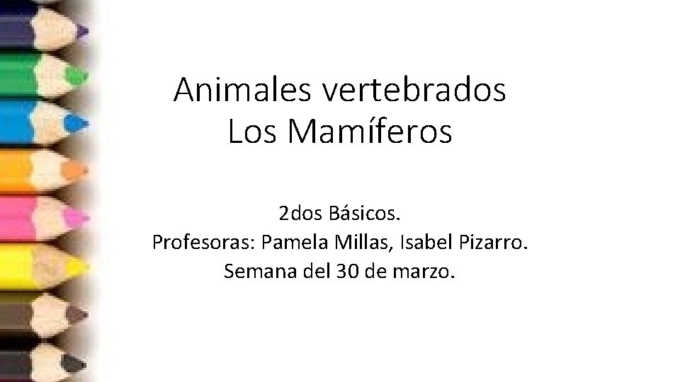 Animales vertebrados Los Mamíferos 2 dos Básicos. Profesoras: Pamela Millas, Isabel Pizarro. Semana del