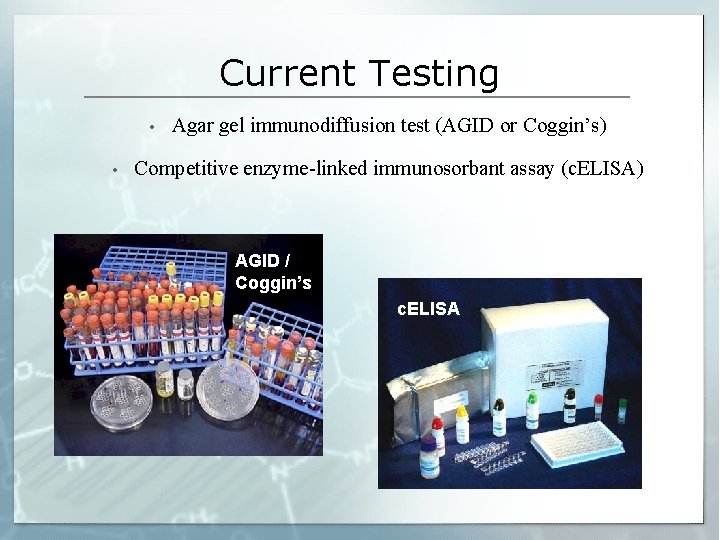 Current Testing • • Agar gel immunodiffusion test (AGID or Coggin’s) Competitive enzyme-linked immunosorbant