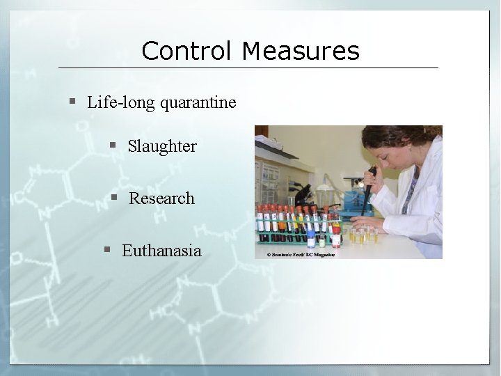 Control Measures § Life-long quarantine § Slaughter § Research § Euthanasia 