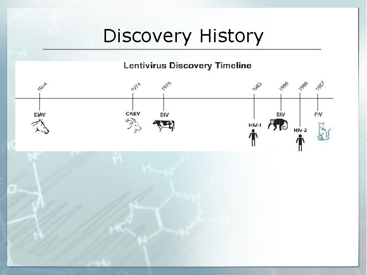Discovery History 