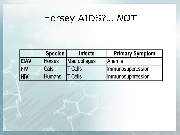 Horsey AIDS? … NOT 