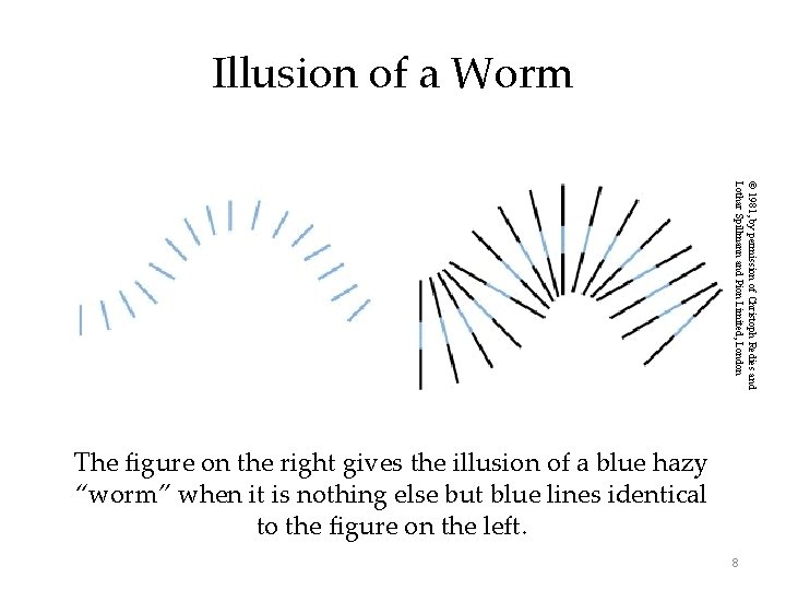 Illusion of a Worm © 1981, by permission of Christoph Redies and Lothar Spillmann Illusion of a Worm © 1981, by permission of Christoph Redies and Lothar Spillmann