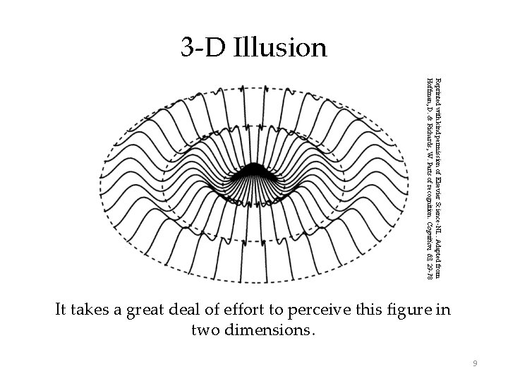 3 -D Illusion Reprinted with kind permission of Elsevier Science-NL. Adapted from Hoffman, D. 3 -D Illusion Reprinted with kind permission of Elsevier Science-NL. Adapted from Hoffman, D.