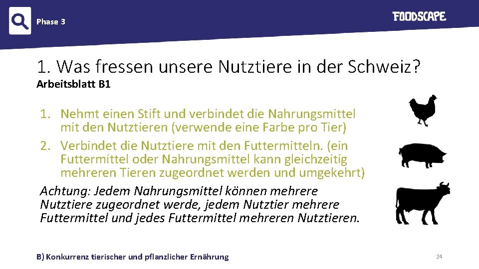 Phase 3 1. Was fressen unsere Nutztiere in der Schweiz? Arbeitsblatt B 1 1.