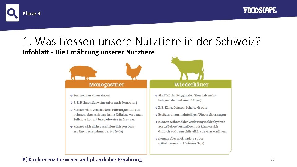 Phase 3 1. Was fressen unsere Nutztiere in der Schweiz? Infoblatt - Die Ernährung