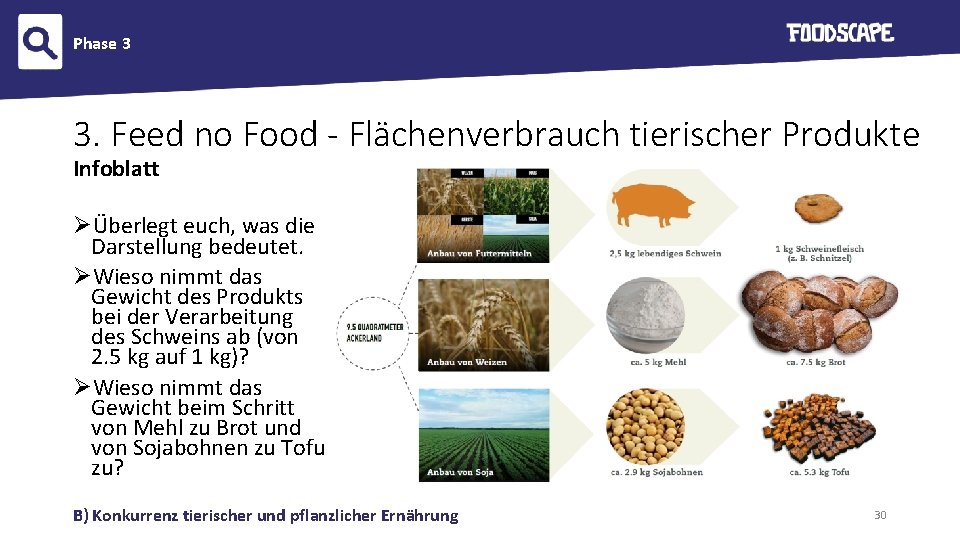 Phase 3 3. Feed no Food - Flächenverbrauch tierischer Produkte Infoblatt ØÜberlegt euch, was