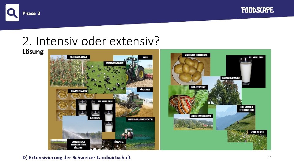 Phase 3 2. Intensiv oder extensiv? Lösung D) Extensivierung der Schweizer Landwirtschaft 44 