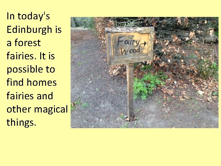 In today's Edinburgh is a forest fairies. It is possible to find homes fairies