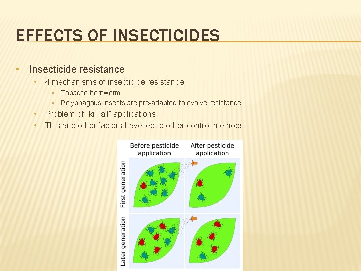 EFFECTS OF INSECTICIDES • Insecticide resistance • 4 mechanisms of insecticide resistance • Tobacco