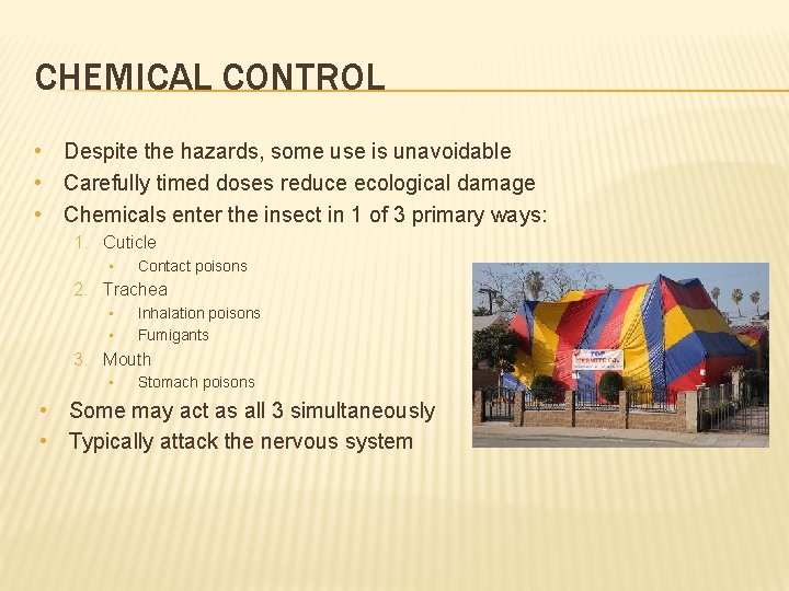 CHEMICAL CONTROL • Despite the hazards, some use is unavoidable • Carefully timed doses