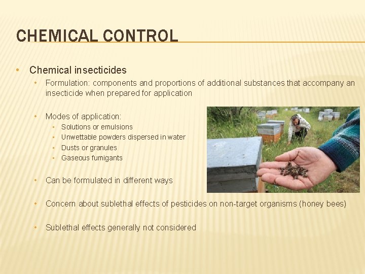 CHEMICAL CONTROL • Chemical insecticides • Formulation: components and proportions of additional substances that