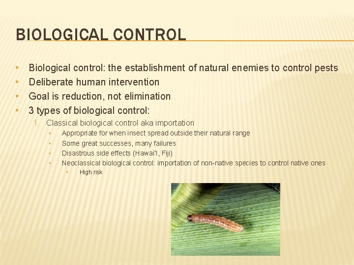 BIOLOGICAL CONTROL • • Biological control: the establishment of natural enemies to control pests