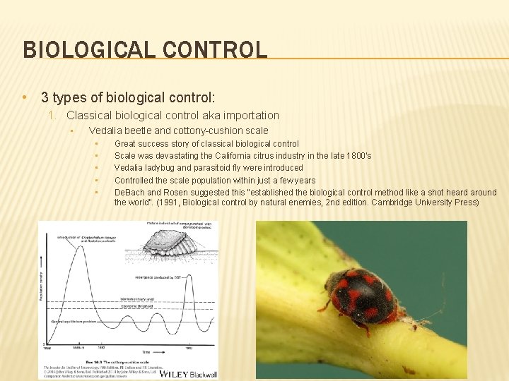 BIOLOGICAL CONTROL • 3 types of biological control: 1. Classical biological control aka importation