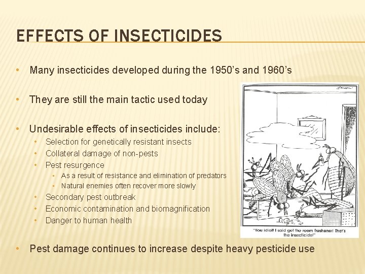 EFFECTS OF INSECTICIDES • Many insecticides developed during the 1950’s and 1960’s • They